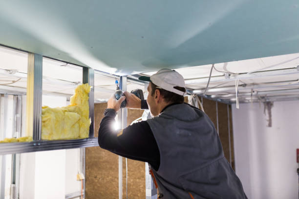 Best Home Insulation Services  in St Bernard, OH